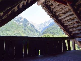 Vista