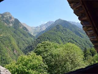 Vista