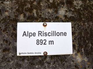 Altro
