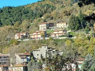 Vista