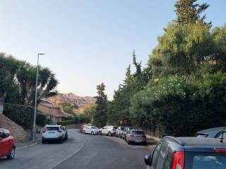 Zona