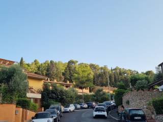 Zona