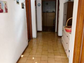 Ingresso