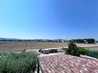 Vista