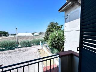 Vista