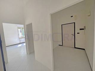 Ingresso
