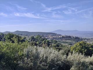 Vista