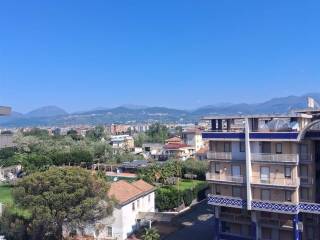 Vista