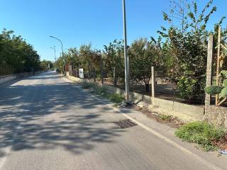 Zona