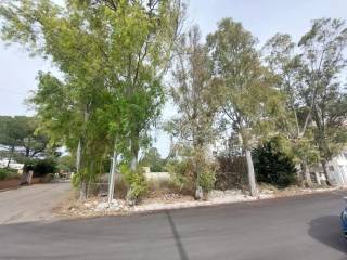 Zona