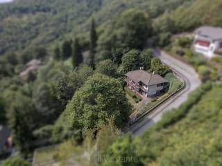 Vista