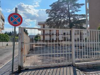 Zona