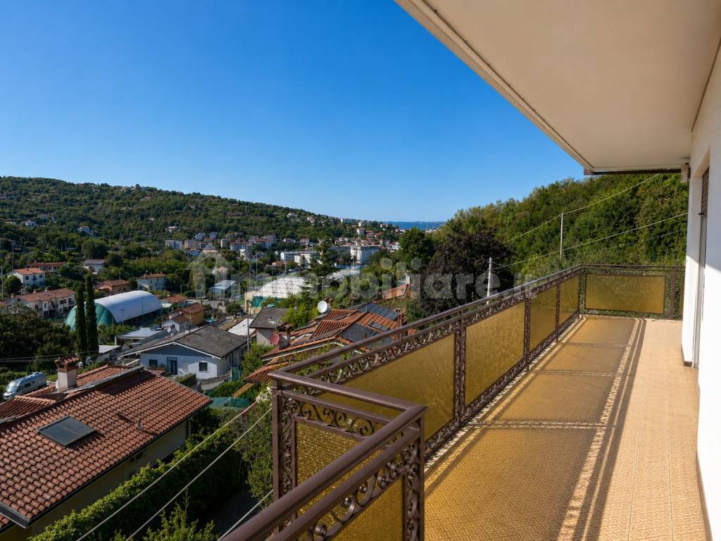 Vista