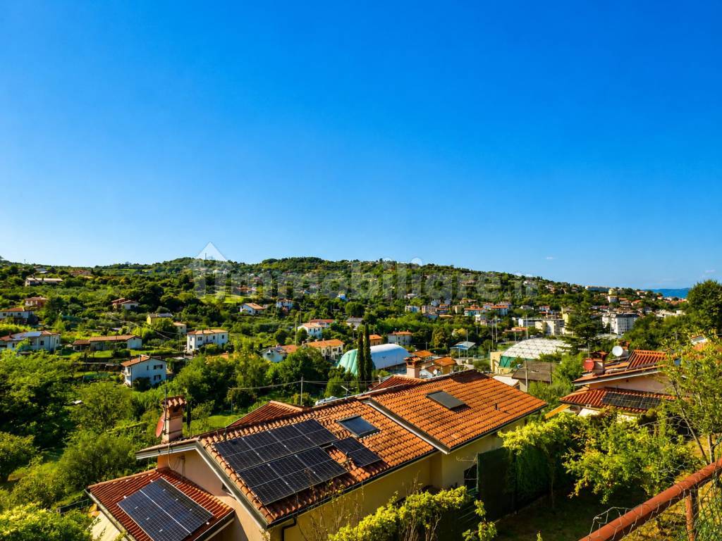 Vista
