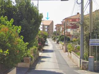 Zona