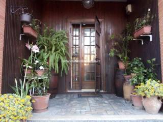 Ingresso
