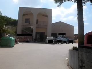 Zona