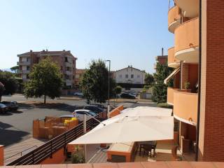 Zona