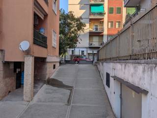 Zona