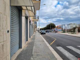 Zona