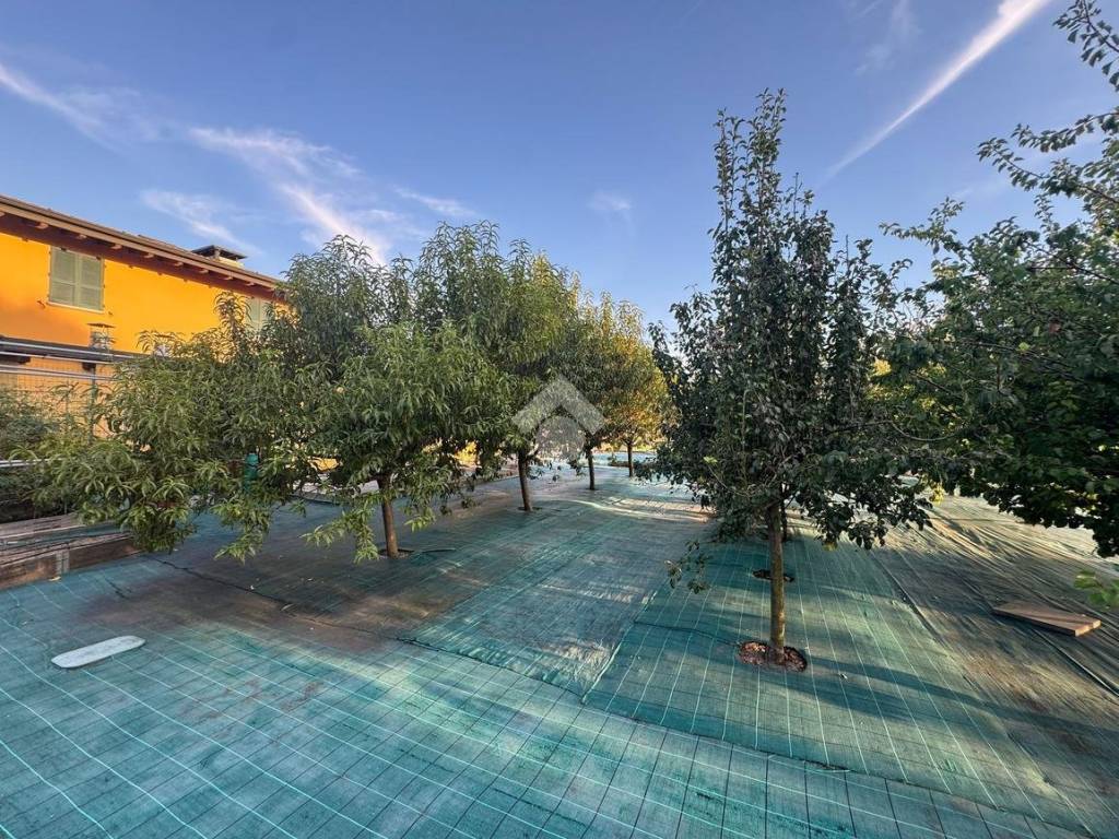 Giardino