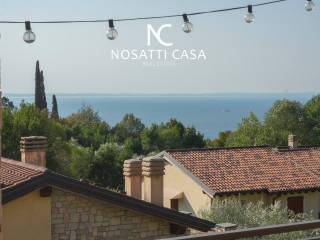 Vista