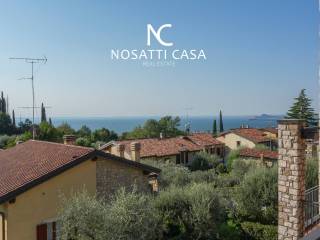 Vista