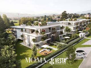 Vista
