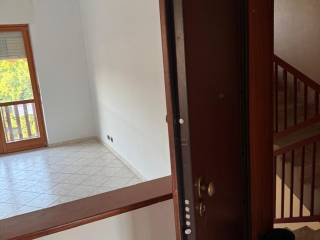 Ingresso