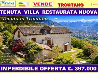 Vista
