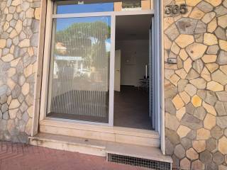 Ingresso