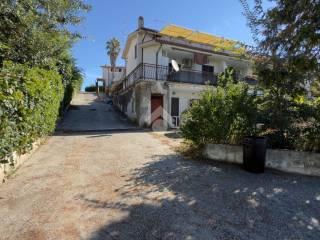 Zona