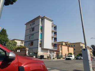 Zona