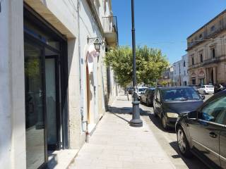 Zona