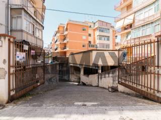 Zona