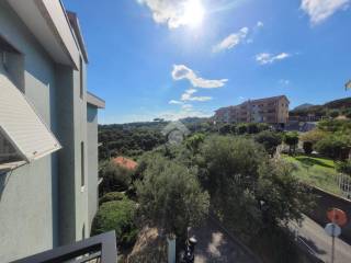 Vista