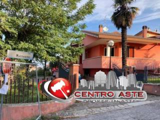 Zona