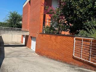 Zona