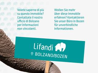 Altro