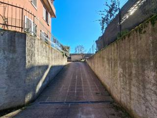 Zona