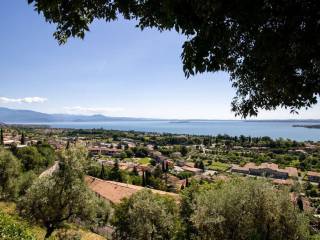 Vista