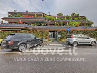 Zona