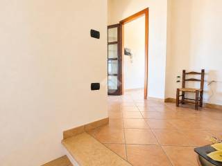 Ingresso
