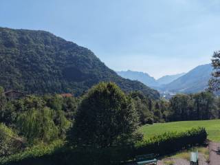 Vista