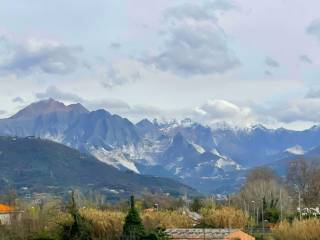 Vista