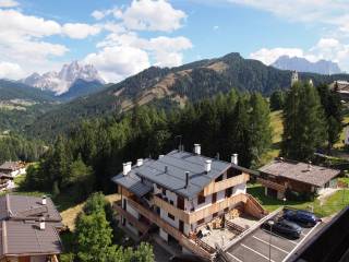 Vista