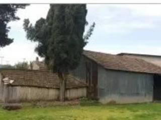 Zona