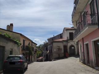 Zona