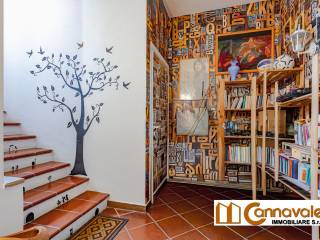 Ingresso