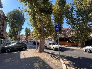 Zona